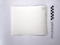 黃則修攝菜宅與牛車輪藏品圖，第2張