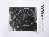 黃則修攝菜宅與牛車輪藏品圖，第1張