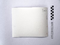 黃則修攝菜宅與牛車輪藏品圖，第2張