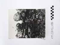 黃則修攝菜宅藏品圖，第1張