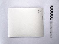 黃則修攝菜宅藏品圖，第2張