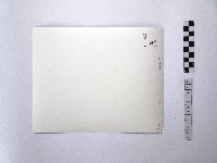 黃則修攝有後花園構造的許家村豪宅藏品圖，第2張