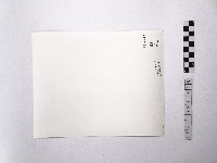 黃則修攝狹窄的巷道藏品圖，第2張