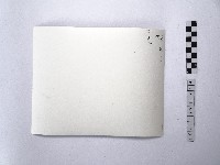 黃則修攝戴著斗笠的婦人藏品圖，第2張