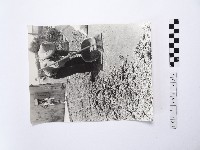 黃則修攝戴著斗笠的婦人藏品圖，第1張