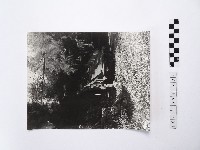 黃則修攝牛車藏品圖，第1張