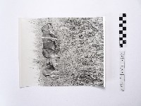 黃則修攝牛失是澎湖炊事主要的柴藏品圖，第1張