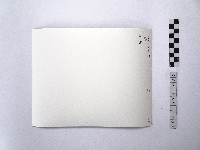 黃則修攝籮筐內的高粱藏品圖，第2張