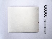 黃則修攝澎湖縣花天人菊藏品圖，第2張