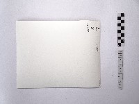 黃則修攝觀音佛祖燈籠藏品圖，第2張