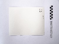 黃則修設童乩的祈禱藏品圖，第2張