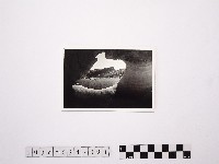 黃則修攝野柳地景藏品圖，第1張