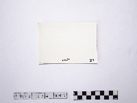 黃則修攝野柳地景藏品圖，第2張