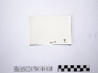 黃則修攝野柳地景燭臺石藏品圖，第2張