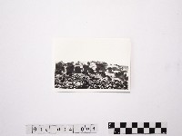 黃則修攝野柳地景藏品圖，第1張