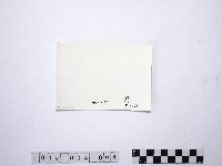 黃則修攝野柳地景藏品圖，第2張