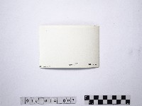 黃則修攝野柳地景燭臺石藏品圖，第2張