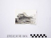 黃則修攝野柳地景藏品圖，第1張