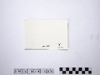 黃則修攝野柳地景藏品圖，第2張