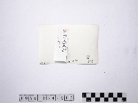 黃則修攝野柳地景藏品圖，第2張