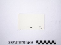 黃則修攝野柳地景藏品圖，第2張