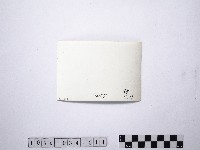 黃則修攝野柳地景藏品圖，第2張