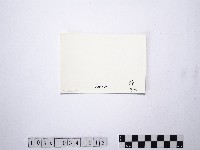 黃則修攝野柳地景藏品圖，第2張