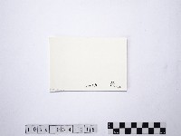 黃則修攝野柳地景藏品圖，第2張