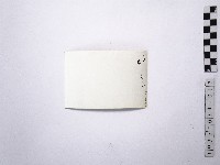 黃則修攝野柳地景藏品圖，第2張