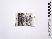 黃則修攝野柳地景藏品圖，第1張