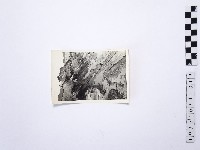 黃則修攝野柳地景藏品圖，第1張