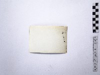 黃則修攝野柳地景藏品圖，第2張