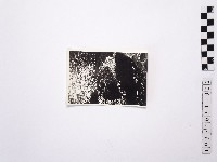 黃則修攝野柳地景藏品圖，第1張