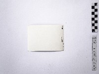 黃則修攝野柳地景藏品圖，第2張