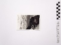 黃則修攝野柳地景藏品圖，第1張