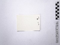 黃則修攝野柳地景藏品圖，第2張