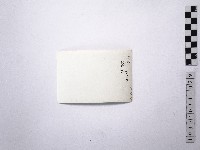 黃則修攝野柳地景藏品圖，第2張