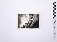 黃則修攝野柳地景藏品圖，第1張