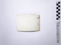 黃則修攝野柳地景藏品圖，第2張