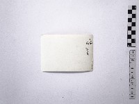 黃則修攝野柳地景藏品圖，第2張