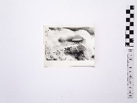 黃則修攝野柳地景藏品圖，第1張