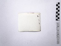 黃則修攝野柳地景藏品圖，第2張