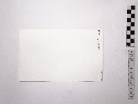 黃則修攝野柳地景女王頭藏品圖，第2張