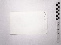 黃則修攝野柳地景女王頭藏品圖，第2張