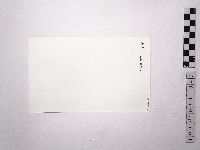 黃則修攝野柳地景女王頭藏品圖，第2張