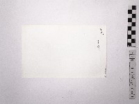 黃則修攝野柳地景女王頭藏品圖，第2張