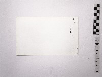 黃則修攝野柳地景女王頭藏品圖，第2張