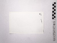 黃則修攝野柳地景女王頭藏品圖，第2張