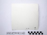 黃則修攝野柳地景藏品圖，第2張