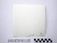 黃則修攝野柳地景藏品圖，第2張